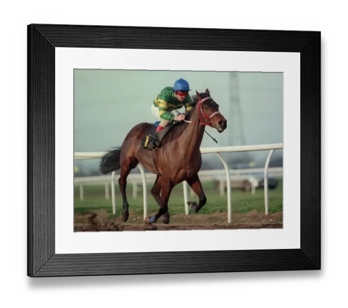 Framed Print : Jibereen Ridden By D.Harrison 07 March 1997 Date: 07 March 1997 Framed Print : Jibereen Ridden By D.Harrison 07 March 1997 Date: 07 March 1997
