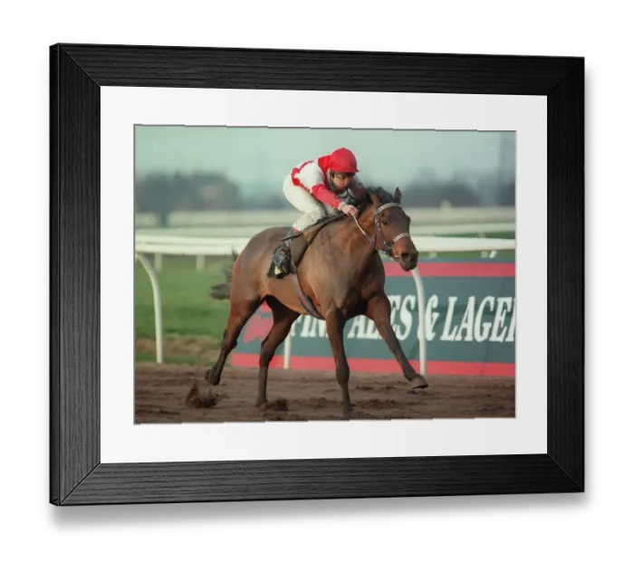 Framed Print : China Castle