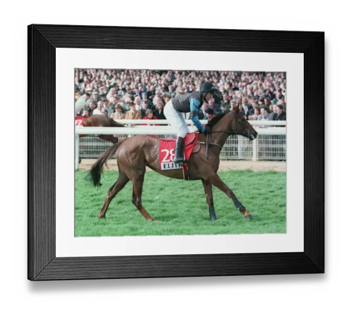 Framed Print : White Sea Ridden By Charlie Swan 18 March 1997 Date: 18 March 1997 Framed Print : White Sea Ridden By Charlie Swan 18 March 1997 Date: 18 March 1997
