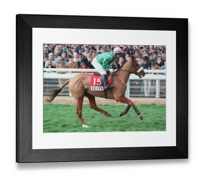 Framed Print : Pleasureland