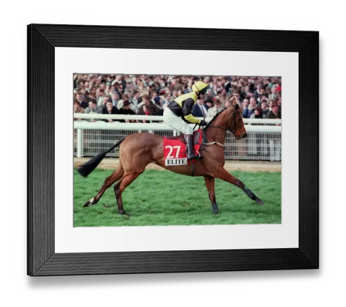 Framed Print : Society Girl Framed Print : Society Girl
