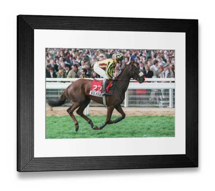 Framed Print : Always Happy