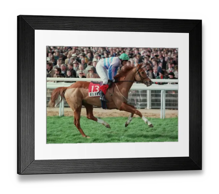 Framed Print : No More Hassle Framed Print : No More Hassle