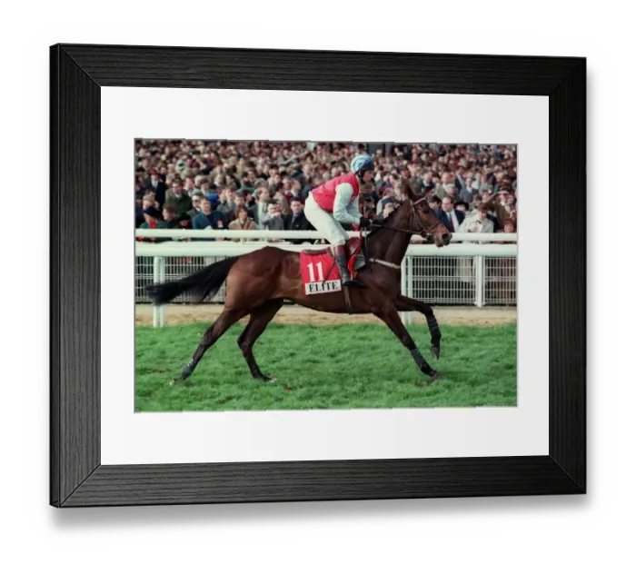 Framed Print : Mr Wild Ridden By J.Culloty 18 March 1997 Date: 18 March 1997 Framed Print : Mr Wild Ridden By J.Culloty 18 March 1997 Date: 18 March 1997