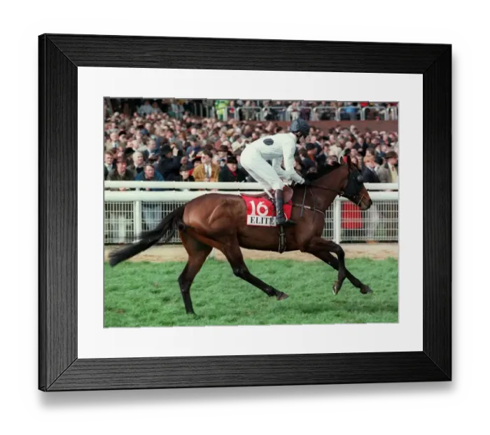 Framed Print : Pomme Secret Framed Print : Pomme Secret