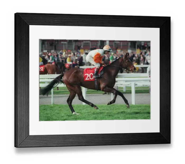 Framed Print : Cashmere Lady Framed Print : Cashmere Lady