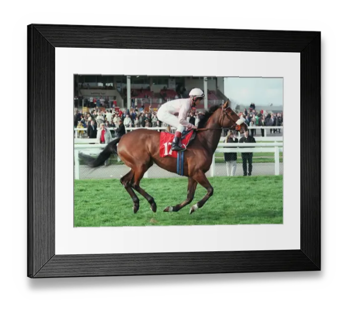 Framed Print : La Volta Ridden By J.Weaver 25 March 1997 Date: 25 March 1997 Framed Print : La Volta Ridden By J.Weaver 25 March 1997 Date: 25 March 1997