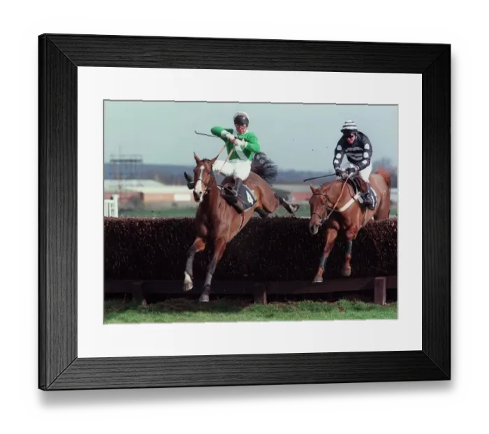 Framed Print : Too Plush & Mely Moss Framed Print : Too Plush & Mely Moss