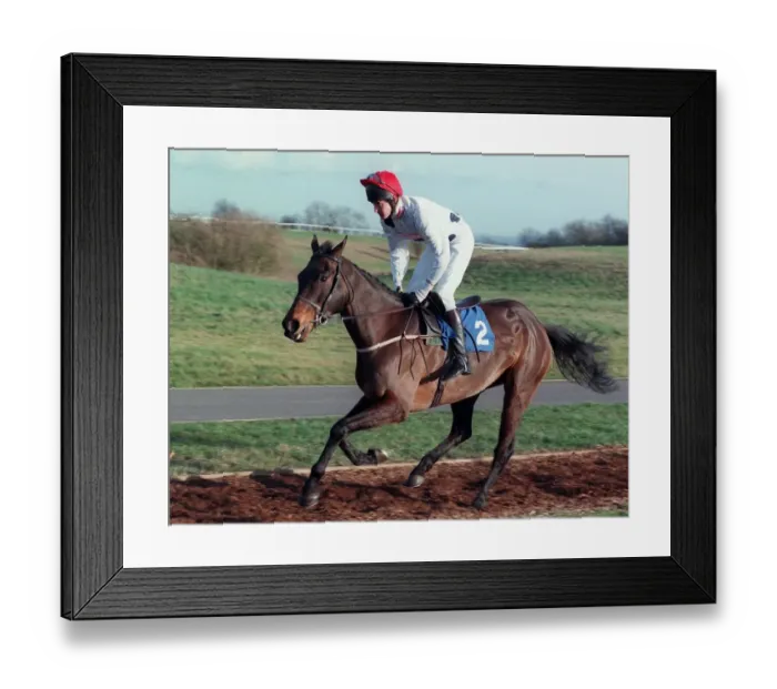 Framed Print : Buck House Boy Framed Print : Buck House Boy