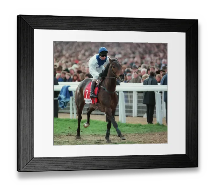 Framed Print : Danoli Ridden By T.P.Treacy 27 March 1997 Date: 27 March 1997 Framed Print : Danoli Ridden By T.P.Treacy 27 March 1997 Date: 27 March 1997