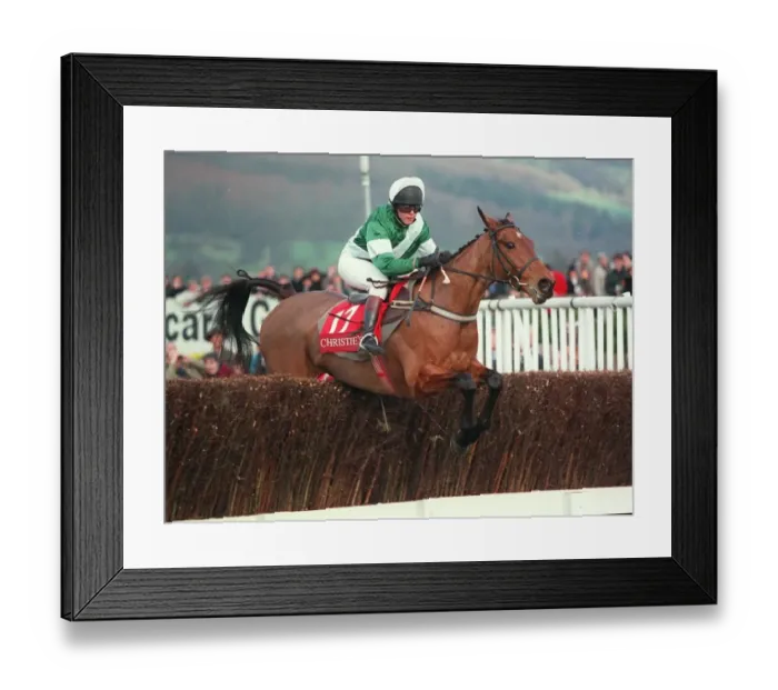 Framed Print : Final Pride Framed Print : Final Pride