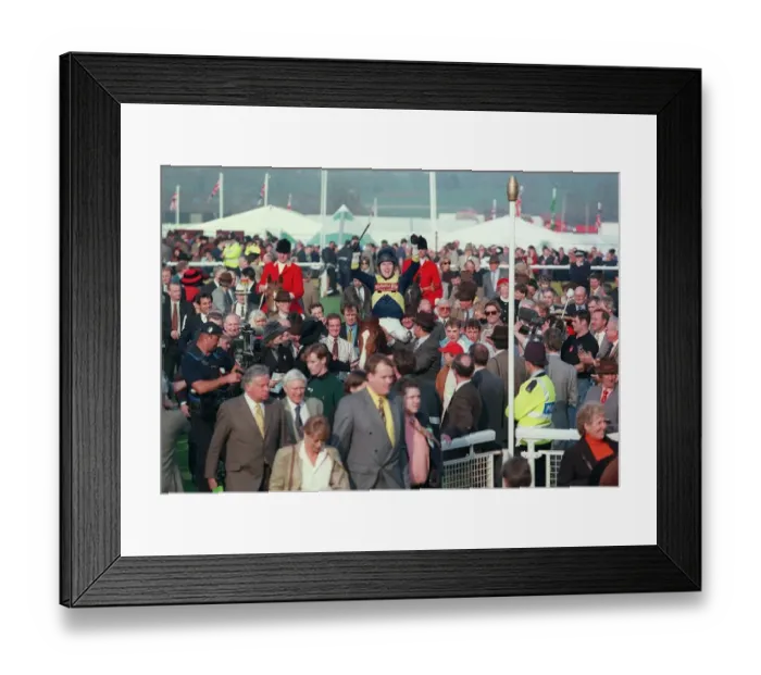 Framed Print : Tony Mccoy Celebrates Champion Framed Print : Tony Mccoy Celebrates Champion