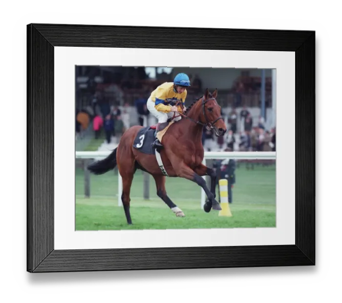 Framed Print : Salmon Ladder (T. Quinn)