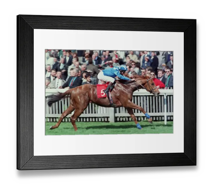 Framed Print : Fahris Wins Feilden Stakes 97 Framed Print : Fahris Wins Feilden Stakes 97