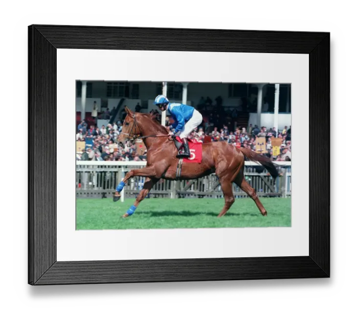 Framed Print : Fahris Ridden By Richard Hills 23 May 1997 Date: 23 May 1997 Framed Print : Fahris Ridden By Richard Hills 23 May 1997 Date: 23 May 1997