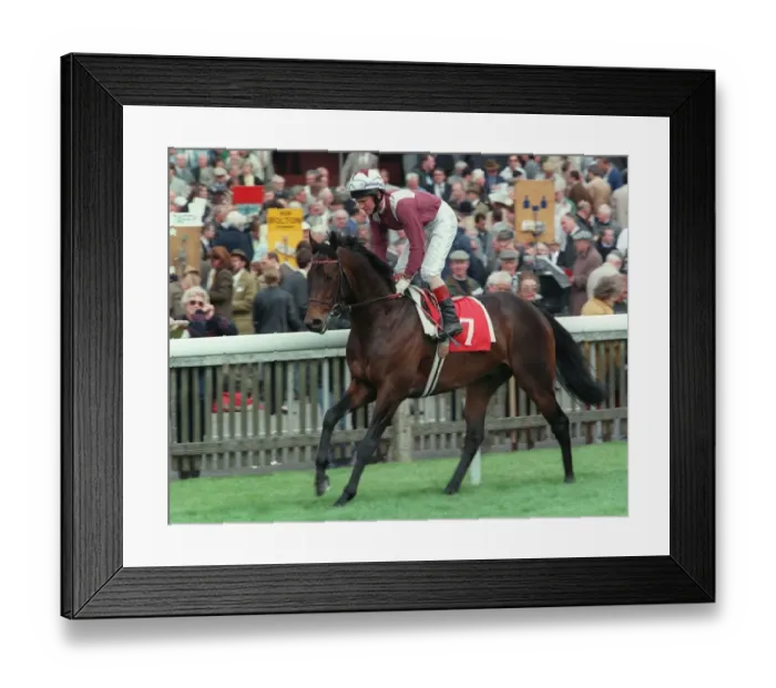Framed Print : Farasan Ridden By Michael Kinane 23 May 1997 Date: 23 May 1997 Framed Print : Farasan Ridden By Michael Kinane 23 May 1997 Date: 23 May 1997