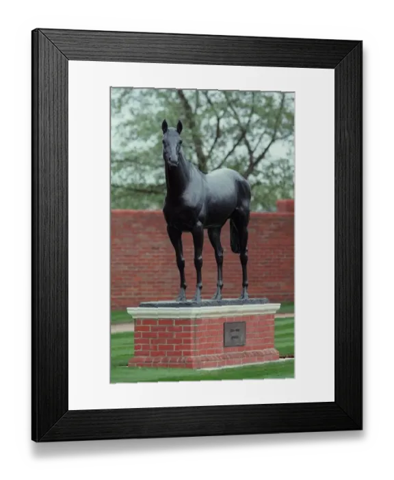Framed Print : Brigader Gerard Statue Framed Print : Brigader Gerard Statue