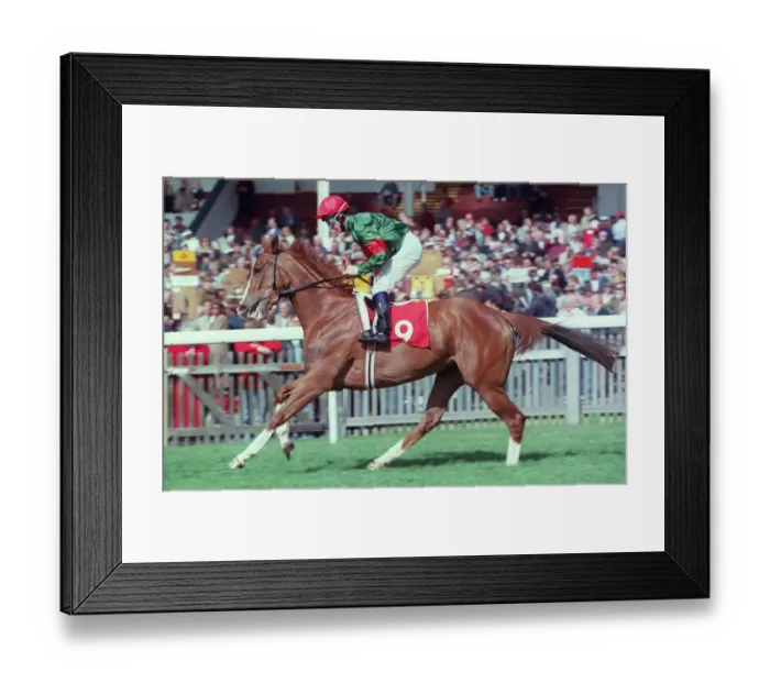 Framed Print : Open Credit Framed Print : Open Credit