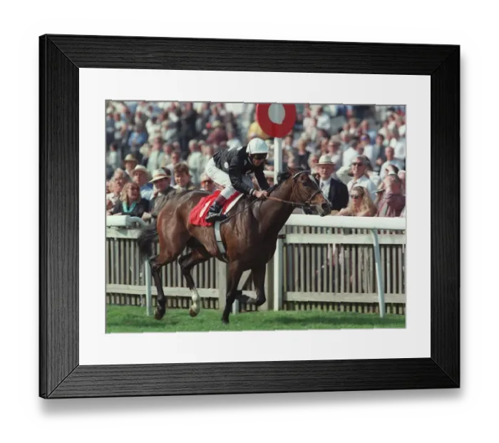 Framed Print : Balalaika Wins Dahlia Stks Framed Print : Balalaika Wins Dahlia Stks