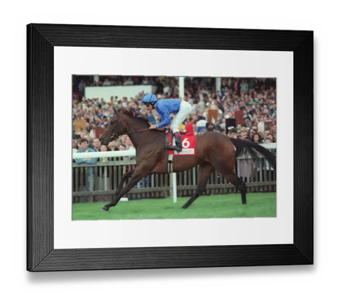 Framed Print : Moonlight Paradise