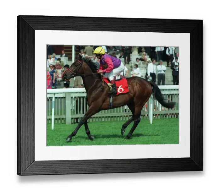Framed Print : Spartan Royale Framed Print : Spartan Royale