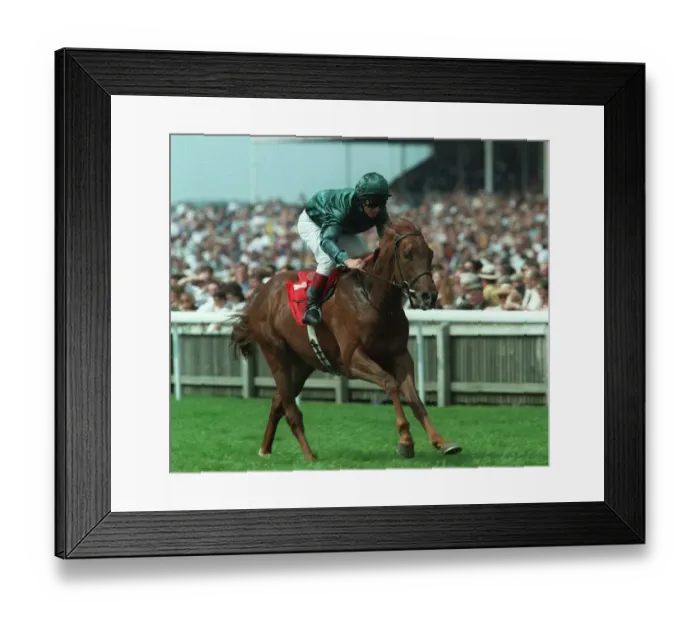 Framed Print : Bodyguard Ridden By Tony Quinn 23 May 1997 Date: 23 May 1997 Framed Print : Bodyguard Ridden By Tony Quinn 23 May 1997 Date: 23 May 1997