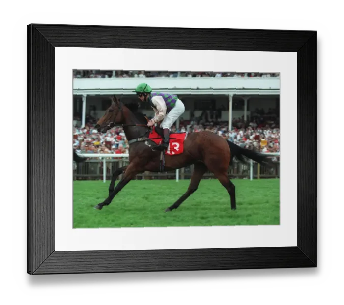 Framed Print : Connemara Ridden By Jimmy Quinn 23 May 1997 Date: 23 May 1997 Framed Print : Connemara Ridden By Jimmy Quinn 23 May 1997 Date: 23 May 1997