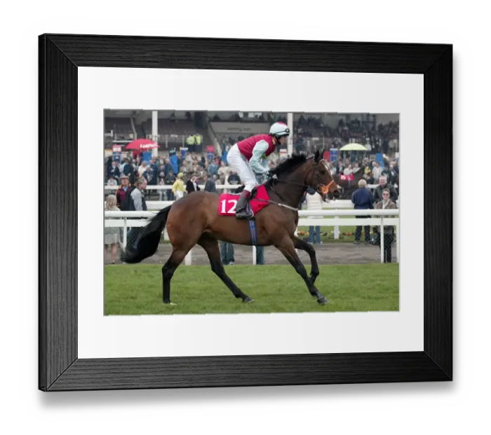 Framed Print : Selective Ridden By T.Eaves Lincoln Meeting Doncaster Doncaster Racecourse Framed Print : Selective Ridden By T.Eaves Lincoln Meeting Doncaster Doncaster Racecourse