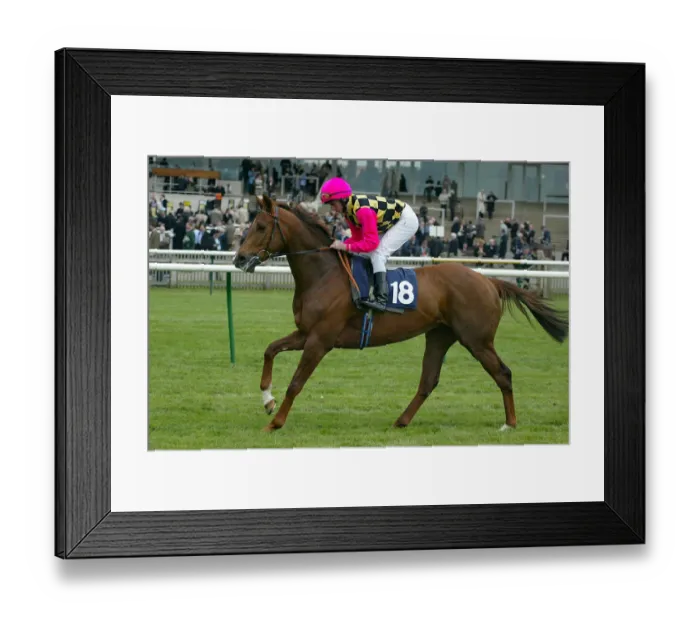 Framed Print : Alfonso Ridden By R.L.Moore Newmarket Craven Meeting 2005 Newmarket Racecourse Framed Print : Alfonso Ridden By R.L.Moore Newmarket Craven Meeting 2005 Newmarket Racecourse