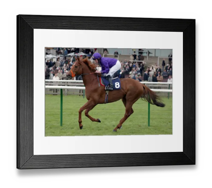 Framed Print : Venables Ridden By R.L.Moore Newmarket Craven Meeting 2005 Newmarket Framed Print : Venables Ridden By R.L.Moore Newmarket Craven Meeting 2005 Newmarket