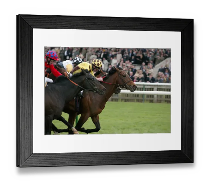 Framed Print : Democratic Deficit & Wins Craven Stks