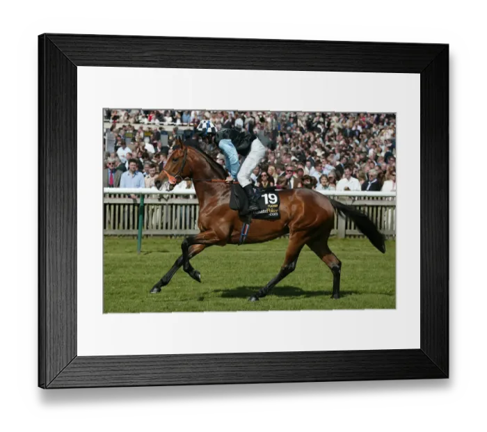 Framed Print : Tucker Ridden By T.Quinn Guineas Festival Nemarket 2005 Newmarket Framed Print : Tucker Ridden By T.Quinn Guineas Festival Nemarket 2005 Newmarket
