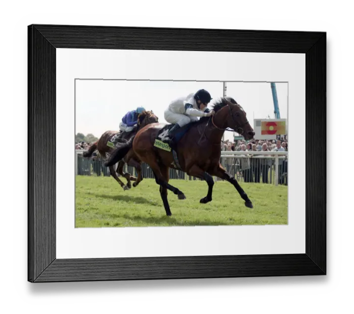 Framed Print : Motivator Ridden By J.Murtagh York May Festival 2005 York Racecourse Framed Print : Motivator Ridden By J.Murtagh York May Festival 2005 York Racecourse