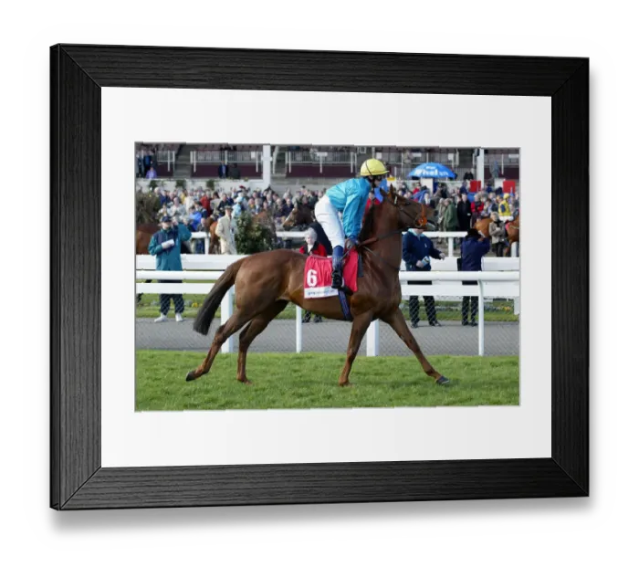 Framed Print : Watching Ridden By A.Nicholls Doncaster Races Doncaster Racecourse