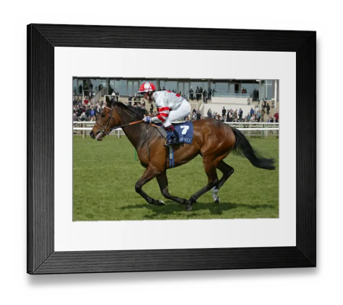 Framed Print : Snowfire Ridden By K.Fallon Newmarket Races Newmarket Racecourse Framed Print : Snowfire Ridden By K.Fallon Newmarket Races Newmarket Racecourse