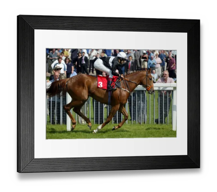 Framed Print : Continent Ridden By D.Holland York Races York Racecourse, York 16 May 2002 Date