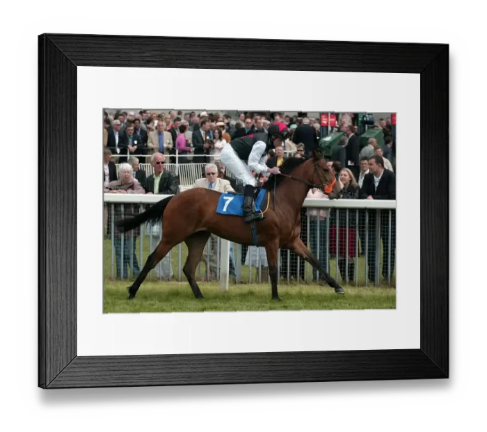 Framed Print : Gamble In Gold Framed Print : Gamble In Gold