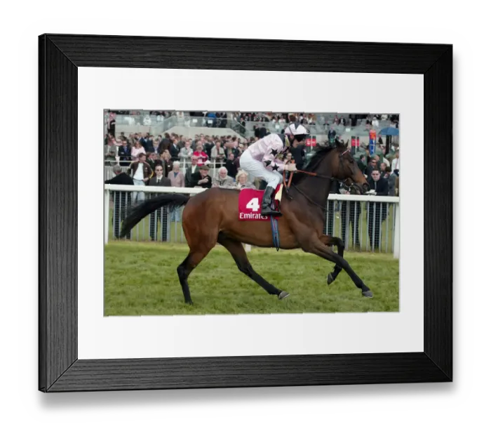 Framed Print : Defining Ridden By J.Murtagh York 2 May Festival York Racecourse Framed Print : Defining Ridden By J.Murtagh York 2 May Festival York Racecourse