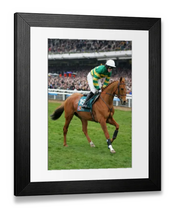 Framed Print : Straw Bear Framed Print : Straw Bear
