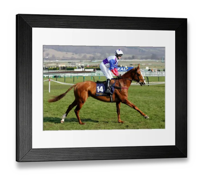 Framed Print : Heltornic Ridden By T.Scudamore Cheltenham Festival 2006 Cheltenham Racecourse Framed Print : Heltornic Ridden By T.Scudamore Cheltenham Festival 2006 Cheltenham Racecourse