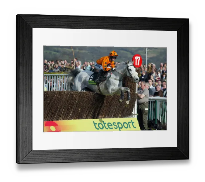 Framed Print : Grey Abby Ridden By G. Lee Cheltenham Festival 2005 Cheltenham Racecourse Framed Print : Grey Abby Ridden By G. Lee Cheltenham Festival 2005 Cheltenham Racecourse