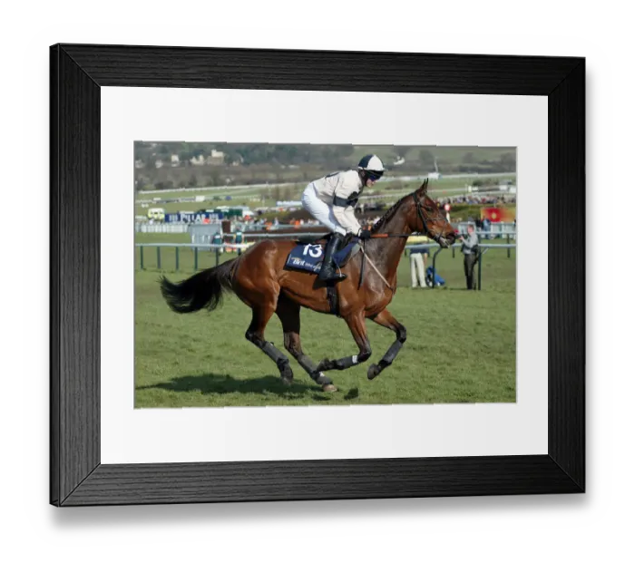 Framed Print : Senor Sedona Framed Print : Senor Sedona