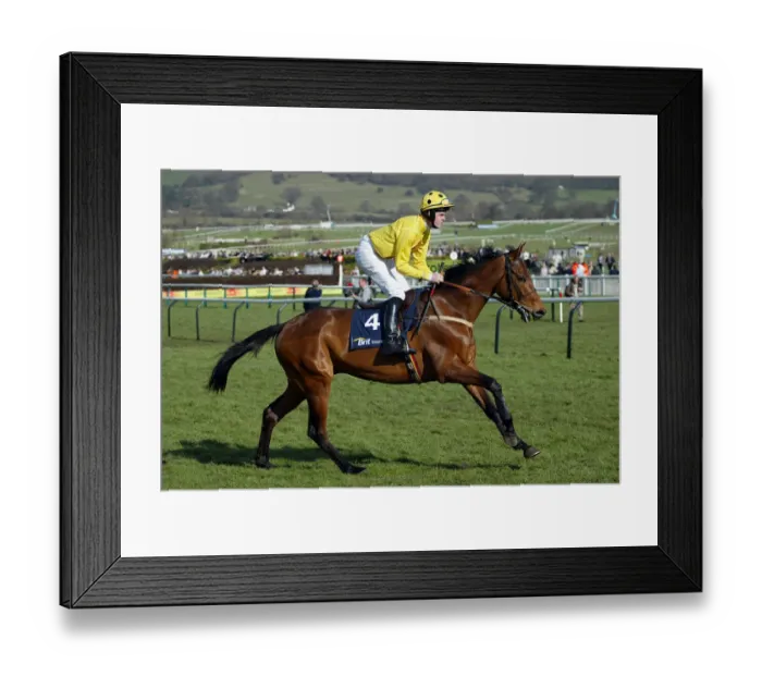 Framed Print : Delvento Ridden By A.J.Mcnamara Cheltenham Festival 2005 Cheltenham Racecourse Framed Print : Delvento Ridden By A.J.Mcnamara Cheltenham Festival 2005 Cheltenham Racecourse