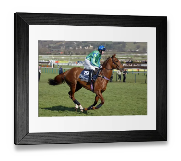 Framed Print : Kings Bay Ridden By J.Crowley Cheltenham Festival 2005 Cheltenham Racecourse