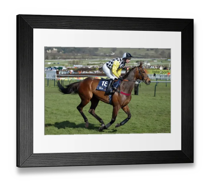 Framed Print : Without A Doubt Framed Print : Without A Doubt