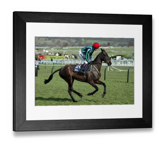 Framed Print : Lady Zephyr
