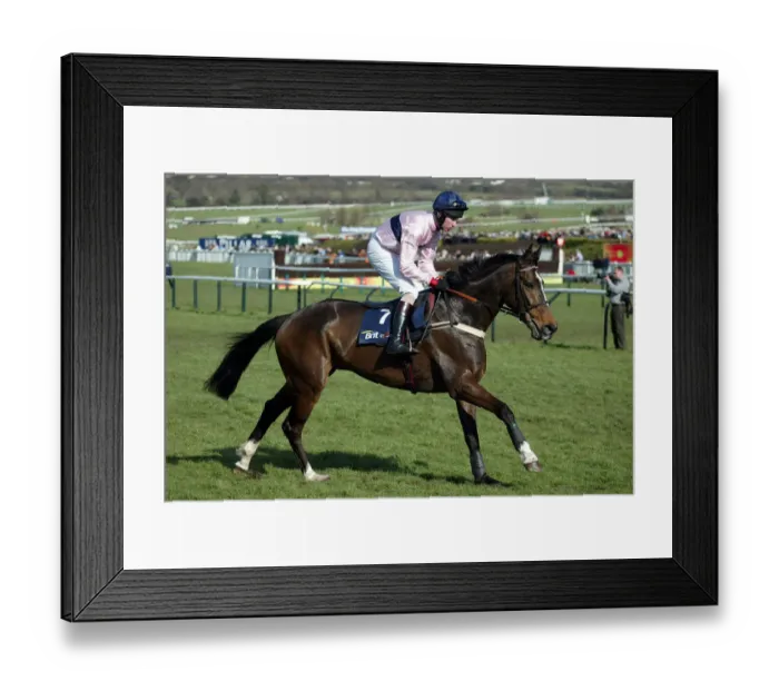 Framed Print : Jackson Ridden By W.Hutchinson Cheltenham Festival 2005 Cheltenham Racecourse Framed Print : Jackson Ridden By W.Hutchinson Cheltenham Festival 2005 Cheltenham Racecourse