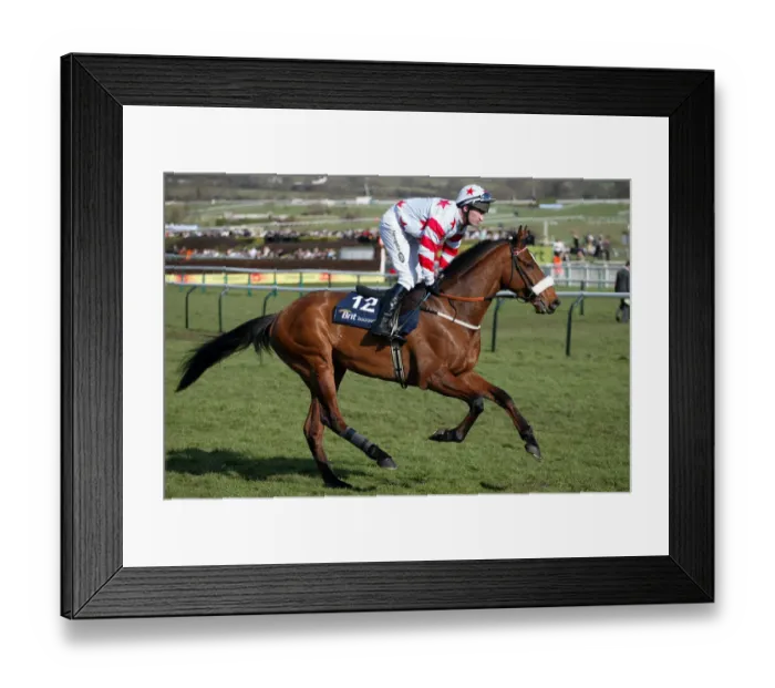 Framed Print : Romany Prince Framed Print : Romany Prince