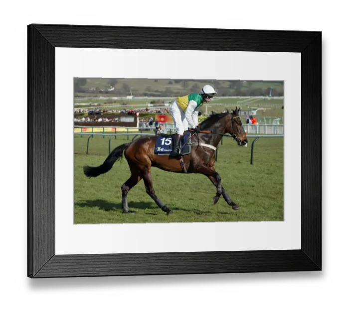 Framed Print : Thames Ridden By M.A.Fitzgerald Cheltenham Festival 2005 Cheltenham Racecourse Framed Print : Thames Ridden By M.A.Fitzgerald Cheltenham Festival 2005 Cheltenham Racecourse
