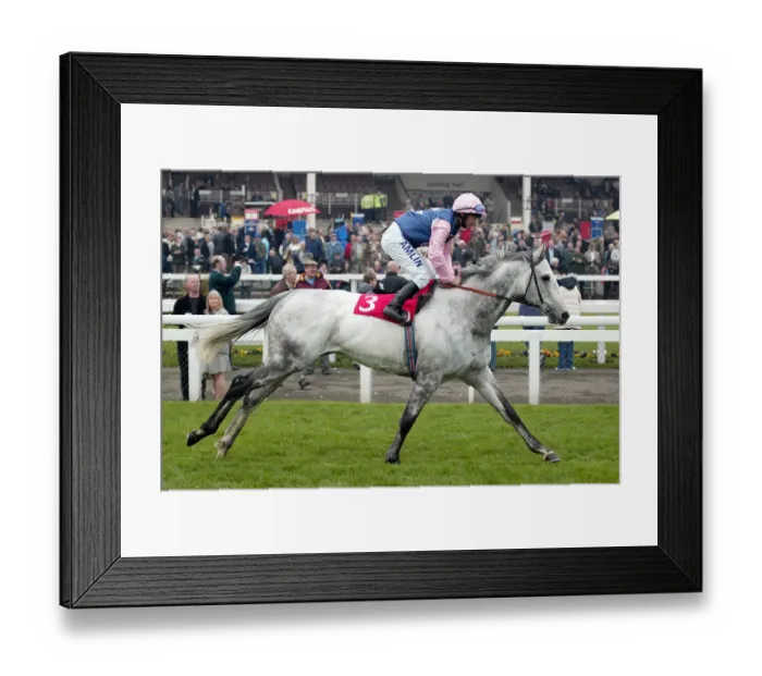 Framed Print : Capricho Ridden By T.Quinn Lincoln Meeting Doncaster Doncaster Racecourse